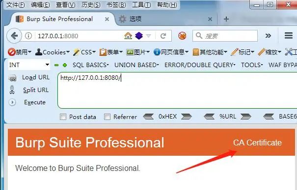 如何解析Burpsuite中的抓包配置  burpsuite 第3张