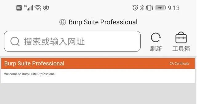 如何解析Burpsuite中的抓包配置  burpsuite 第12张