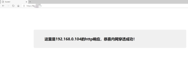 Frp做内网穿透访问家里的Web网站  frp 第6张