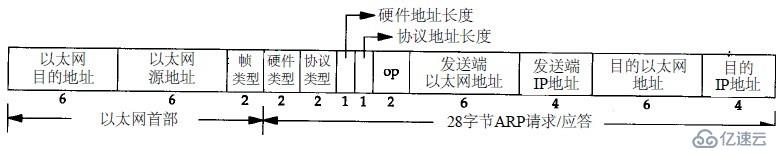 ARP协议怎么使用  arp 第2张